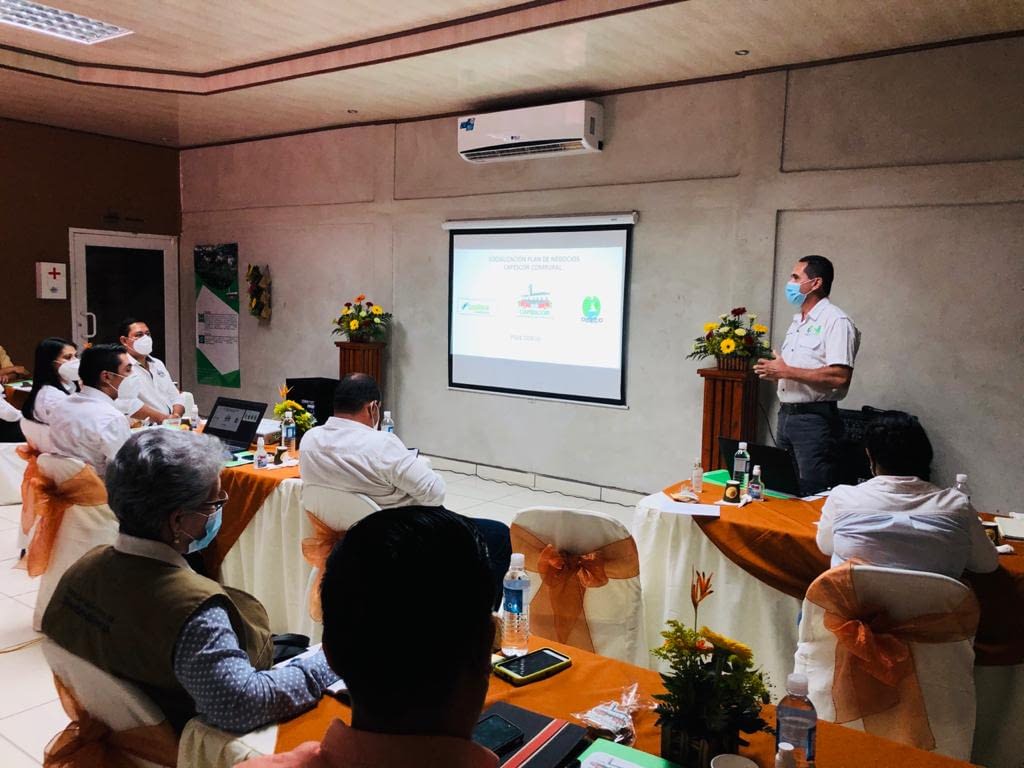 Socialización de Plan de Negocios